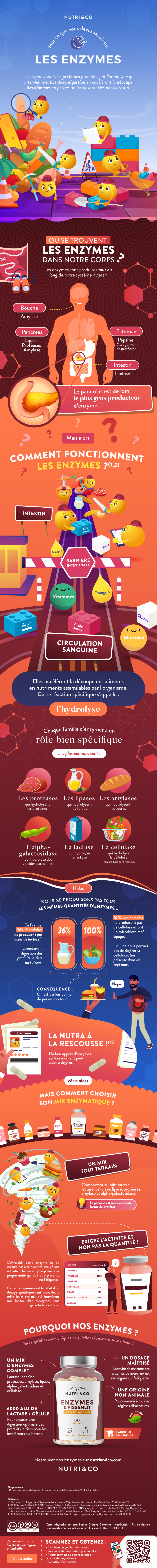infographie enzymes digestives